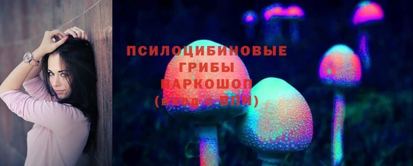 mdpv Коряжма