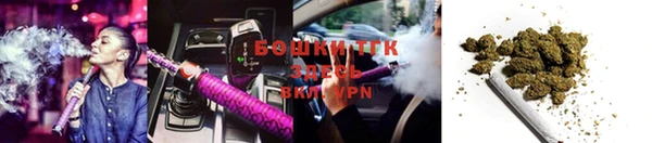 PSILOCYBIN Костерёво