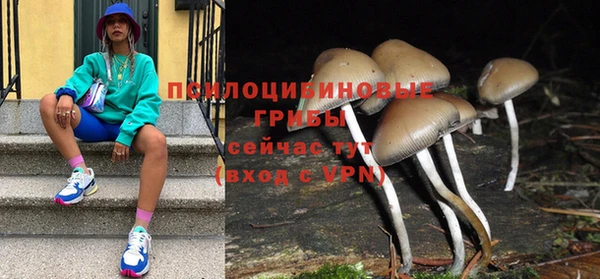 хмурый Корсаков