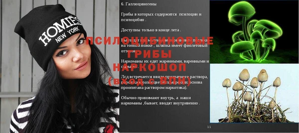 эйфоретик Балахна
