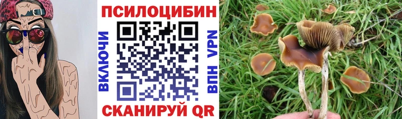 Галлюциногенные грибы MAGIC MUSHROOMS  нарко площадка официальный сайт  Пятигорск 